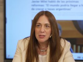 Lejos del Congreso y como vocera: los planes de Vidal para reconstruir el PRO pensando en el 2027