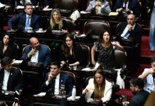 Negociación clave: el futuro de los ex libertarios que le podrían dar la primera minoría al Gobierno en Diputados