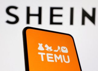 Proyecto anti Shein: Pichetto propuso aplicar un 30% de arancel a las compras en plataformas extranjeras