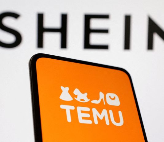 Proyecto anti Shein: Pichetto propuso aplicar un 30% de arancel a las compras en plataformas extranjeras