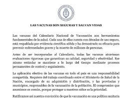 Tras el insólito acto en el Congreso, el Gobierno ratificó la seguridad y la gratuidad de las vacunas junto a 22 ministros de Salud