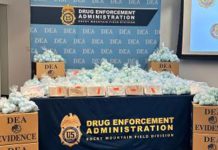 Alerta en la frontera: los nitacenos, el opioide más potente que el fentanilo, ya circula en Brasil y enciende alarmas en la Argentina