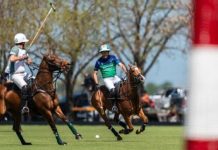 Se define el Abierto de Polo entre La Natividad-La Dolfina y Ellerstina-Indios Chapaleufú