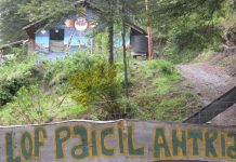 Una comunidad mapuche aseguró que resistirá un inminente desalojo y crece la tensión en Villa La Angostura