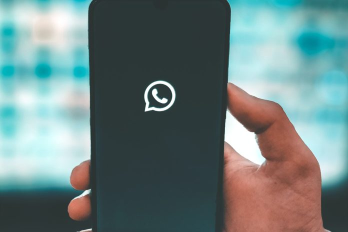 Así podés encontrar la papelera de WhatsApp con archivos y conversaciones