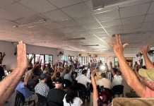 Crisis en la yerba: productores amenazan con el desabastecimiento si no mejoran los precios de la materia prima