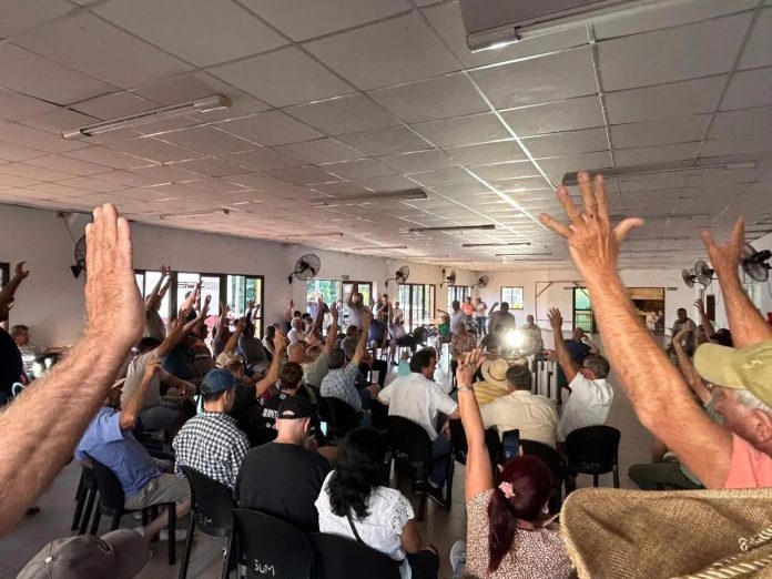 Crisis en la yerba: productores amenazan con el desabastecimiento si no mejoran los precios de la materia prima