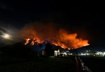 El Gobierno declaró por DNU la Emergencia Ígnea para las provincias afectadas por los incendios en el sur