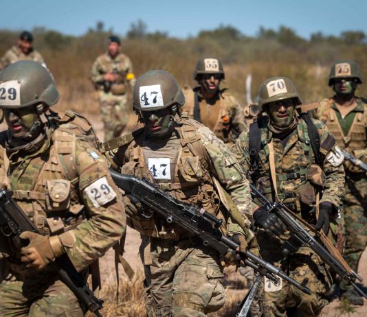 El Gobierno estableció los requisitos para que el personal militar pueda acceder a cargos públicos