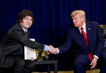 Foro de Davos: invitado por Trump, Javier Milei firmará la incorporación de Argentina a la Junta de la Paz