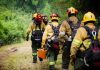 Incendios en Chubut: conformaron un Comando Unificado y suman brigadistas a la lucha contra el fuego