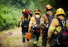 Incendios en Chubut: conformaron un Comando Unificado y suman brigadistas a la lucha contra el fuego