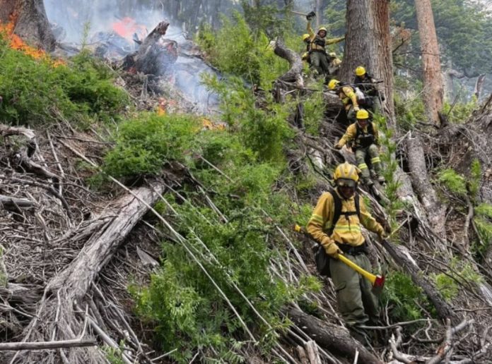 Incendios en la Patagonia: tras la pérdida de 10 mil hectáreas de bosque nativo, el Gobierno intervino el Parque Nacional Los Alerces