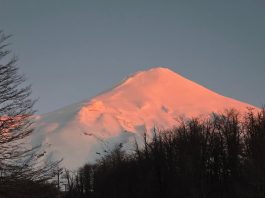 La historia detrás de la medallista alemana que compitió con la camiseta de Boca: su conexión con Argentina, Maradona y las empanadas