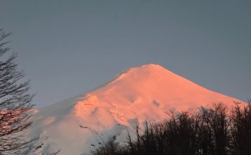 La historia detrás de la medallista alemana que compitió con la camiseta de Boca: su conexión con Argentina, Maradona y las empanadas