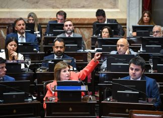 Billeteras virtuales, licencias laborales y régimen penal juvenil: los próximos desafíos del oficialismo en el Congreso