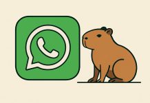 Cómo activar el “modo Capibara” de WhatsApp en febrero 2026