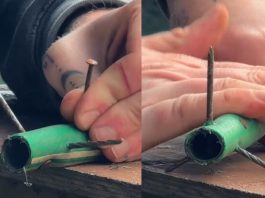 El Ministerio de Seguridad denunció penalmente a una cuenta de Instagram por instigar a cometer delitos