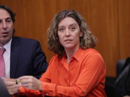 El Superior Tribunal de Entre Ríos anuló la destitución de la fiscal anticorrupción Cecilia Goyeneche