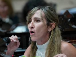 Una diputada libertaria presentó un proyecto para exigir un examen “psicotécnico” a quienes aspiran a altos cargos políticos