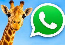 Así se puede activar el “modo jirafa amarilla” en WhatsApp