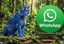 Cómo activar el “modo tigre azul” de WhatsApp en marzo 2026
