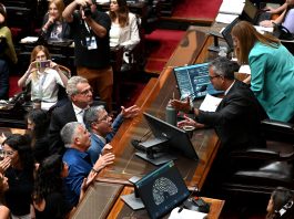 El espinoso camino del PJ para lograr un bloque de respaldo opositor y sostener las PASO en el Congreso