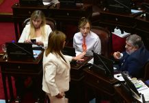 El Gobierno busca cerrar la guerra con el kirchnerismo por la integración de las comisiones del Senado