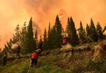 Incendios en Chubut: siguen peritando celulares de una comunidad mapuche y tierra con restos de líquido acelerante