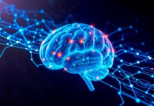 Así podés identificar a quienes tienen un alto coeficiente intelectual, según la IA