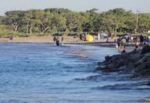 Cómo es la reserva natural reconocida por la UNESCO a solo 150 km de CABA para visitar un fin de semana