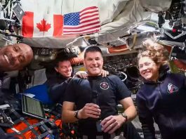 Cuál es el celular que llevan los astronautas de la Artemis II en su viaje a la Luna