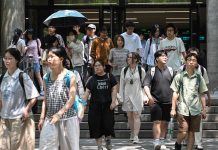 Cuáles son las universidades que empiezan a cerrar carreras por el avance de la inteligencia artificial