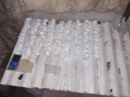 Cuatro mujeres trans descartaron cocaína y se refugiaron en un hotel de Constitución, pero la jueza rechazó el allanamiento