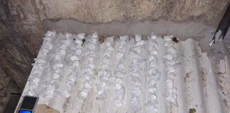 Cuatro mujeres trans descartaron cocaína y se refugiaron en un hotel de Constitución, pero la jueza rechazó el allanamiento