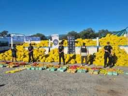 Dictaron prisión preventiva para miembros de una banda narco que funcionaba bajo la fachada de un comedor comunitario