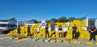 Dictaron prisión preventiva para miembros de una banda narco que funcionaba bajo la fachada de un comedor comunitario
