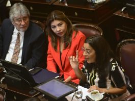 El Senado define el reparto de las Bicamerales y se activa una feroz pelea entre LLA y el kirchnerismo