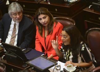 El Senado define el reparto de las Bicamerales y se activa una feroz pelea entre LLA y el kirchnerismo