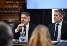 El Senado dictaminó el acuerdo de libre comercio entre el Mercosur y Singapur