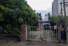 El sospechoso detenido por matar a un jubilado en La Plata era su jardinero: el testimonio que lo incriminó