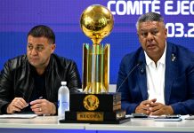 Escándalo en la AFA: la Justicia revela desvíos millonarios y pagos a la empresa ligada a Tapia y Toviggino