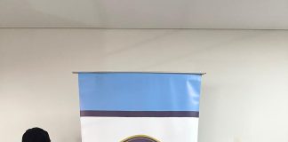 Insólito: allanaron a una dealer paraguaya en Florencio Varela y le encontraron un lobo blanco