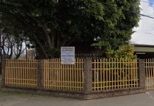 La familia de la nena que tropezó en un colegio y murió decidió donar sus órganos: el desgarrador mensaje del papá