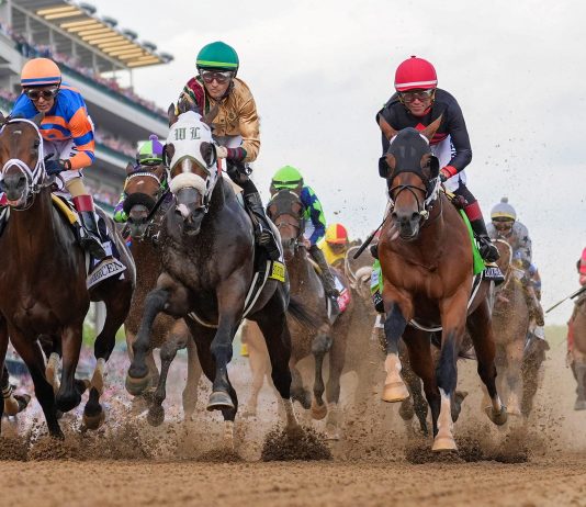 Masajistas, psicólogos equinos y dietas de atleta de élite: los secretos del entrenamiento de los caballos del Kentucky Derby