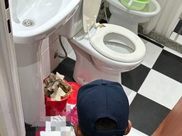 Ordenaron la pericia clave para resolver el caso de los ocho fetos en la clínica de Villa Ballester: el drama de la nena y el principal sospechoso