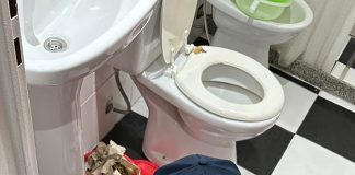 Ordenaron la pericia clave para resolver el caso de los ocho fetos en la clínica de Villa Ballester: el drama de la nena y el principal sospechoso