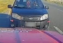 Peligro extremo en General Madariaga: lo interceptaron en la ruta 74 por manejar a contramano, sin luces ni cinturón