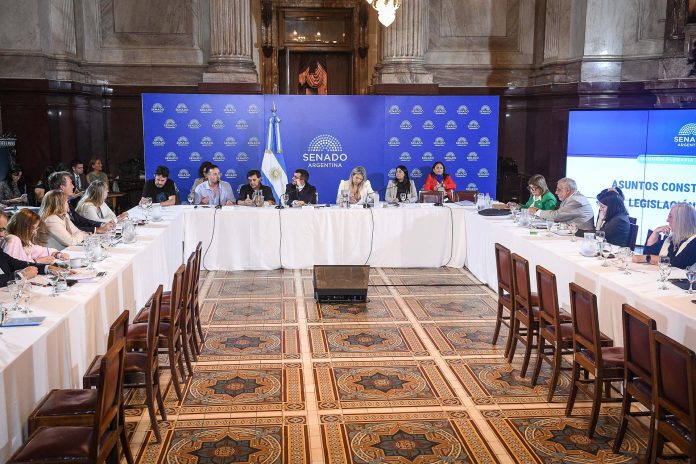 Propiedad privada: dudas y avales en el Senado a la ley libertaria en una nueva ronda de exposiciones