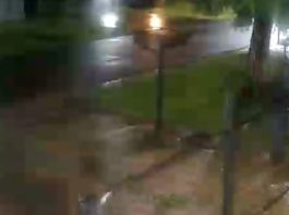 Saltó la reja de una casa de La Plata, robó las tarjetas que la víctima tenía en el auto y las usó en un local cercano